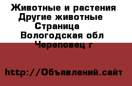 Животные и растения Другие животные - Страница 3 . Вологодская обл.,Череповец г.